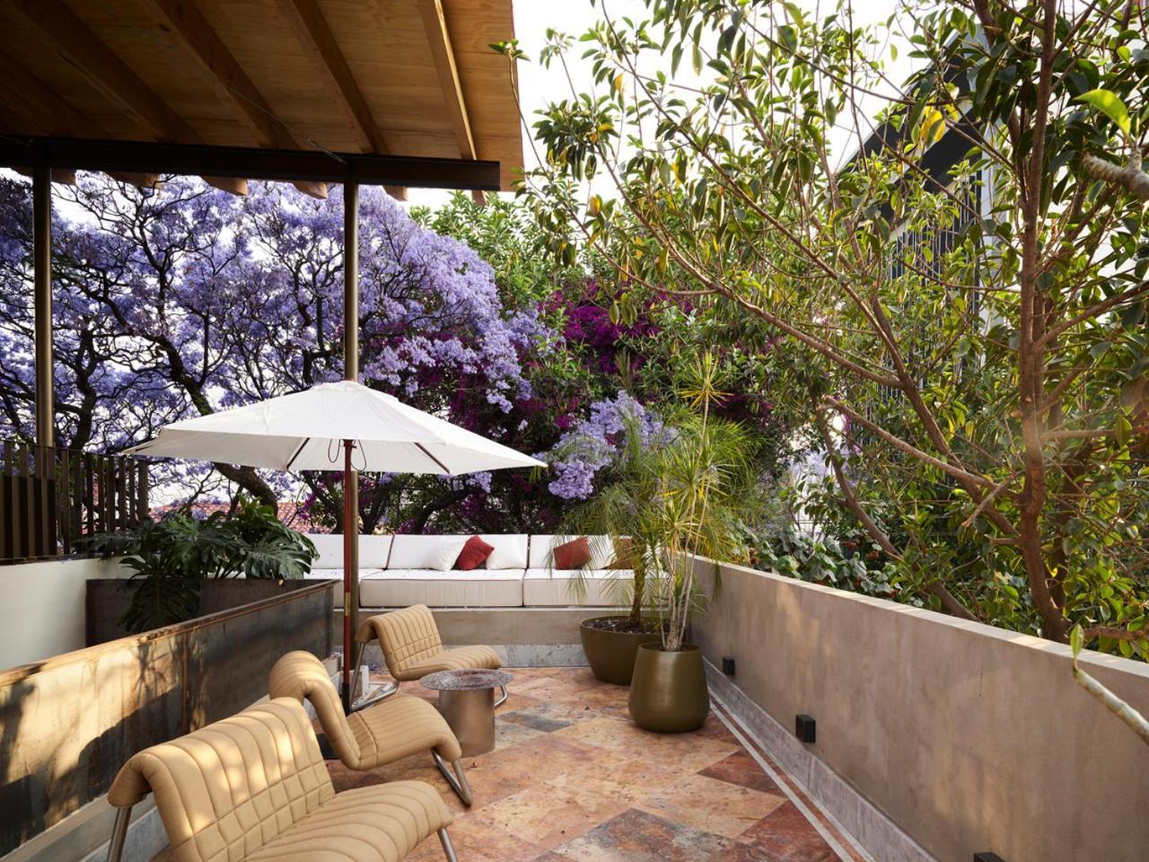 Dama Hotel Mexiko-Stadt